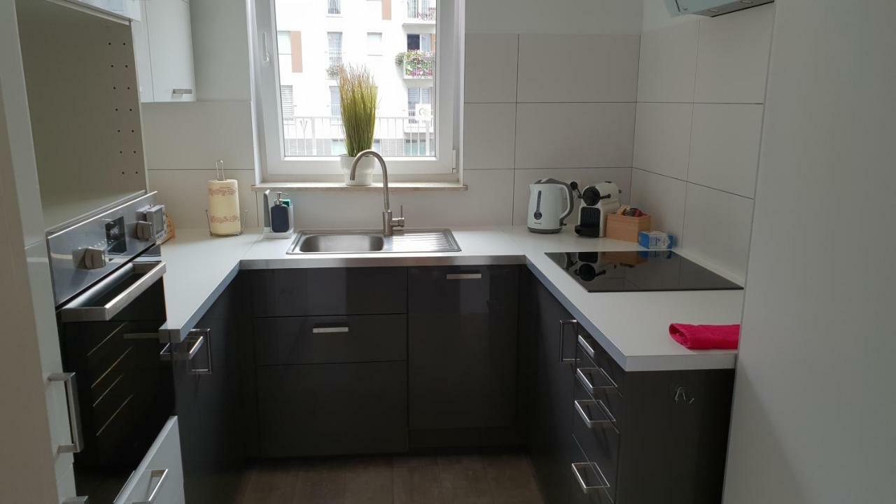 Apartament nad Odrą z tarasem Wroclaw Bagian luar foto